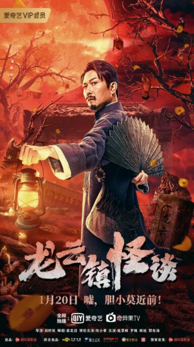 《善良岳母：我爱我的女婿》海报